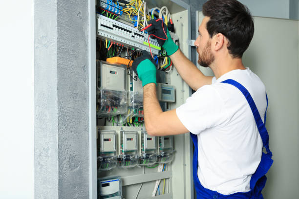 Best Electrician for Home Renovation  in Panther Valley, NJ